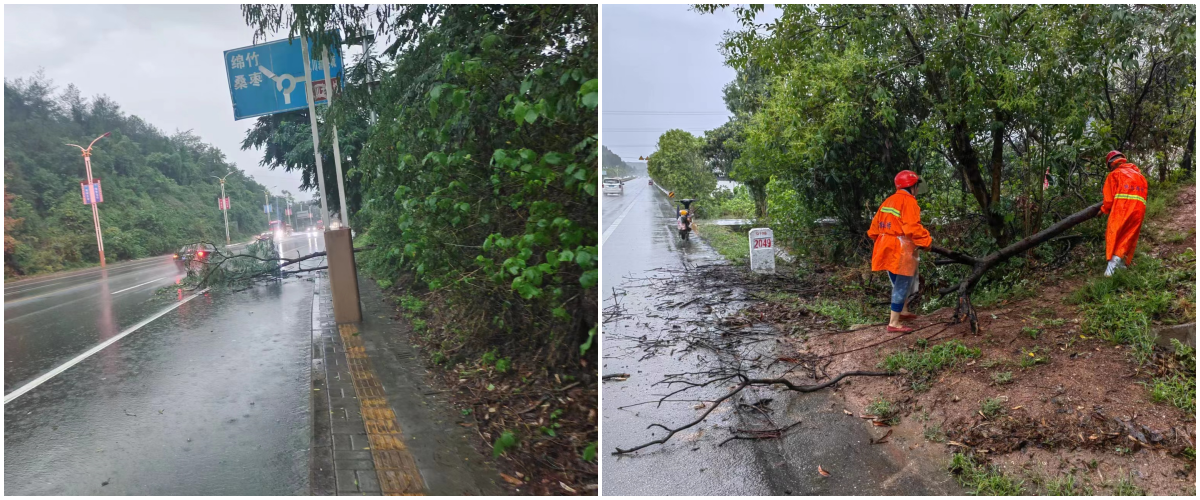 管養(yǎng)路段永安路、綿梓路.png